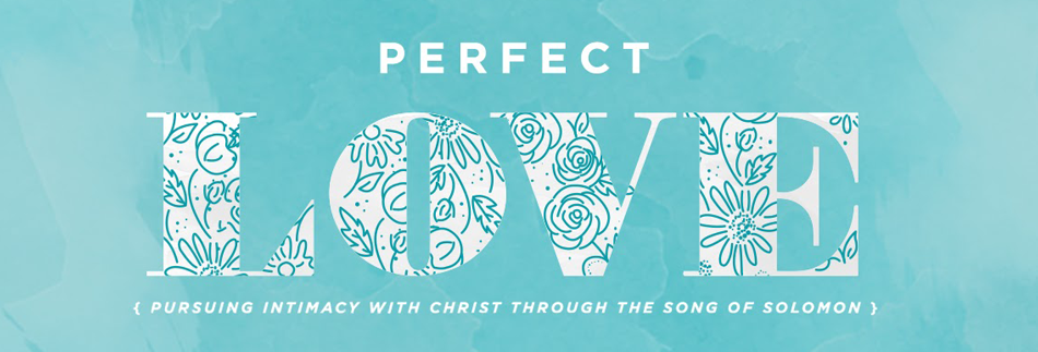 Women's Study: Perfect Love